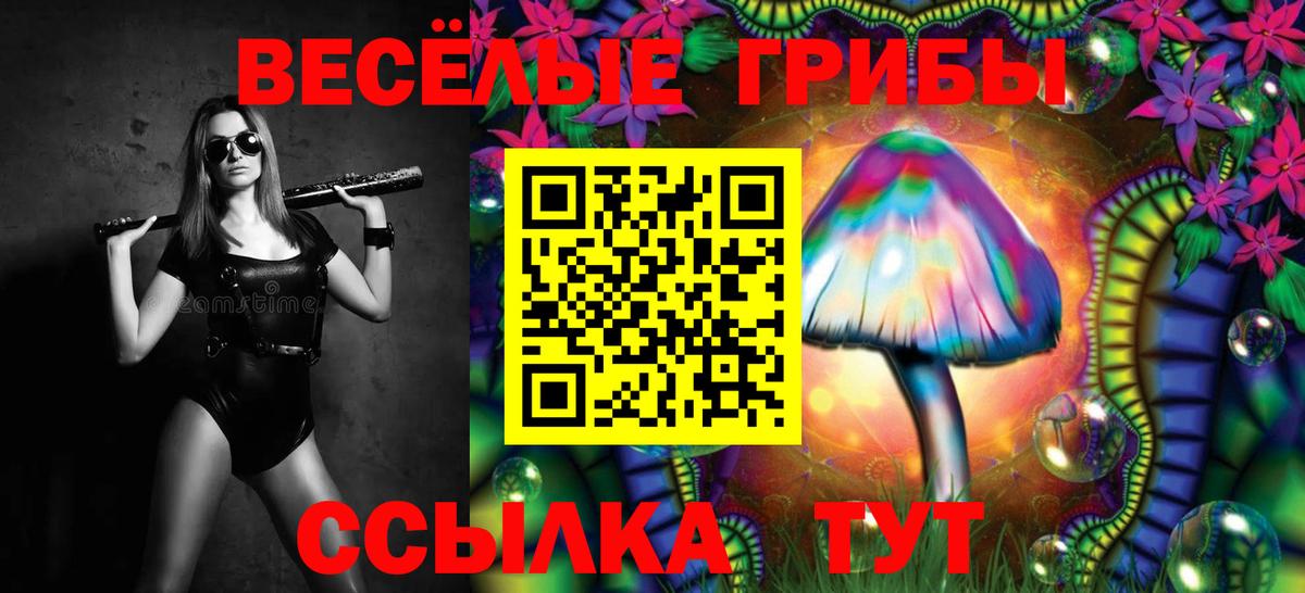 Псилоцибиновые грибы GOLDEN TEACHER  где купить   Горно-Алтайск  Вход с VPN 